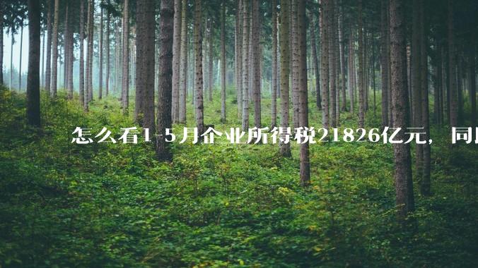怎么看1-5月企业所得税21826亿元，同比下降2.5%；个人所得税6572亿元，同比增长8.2%?