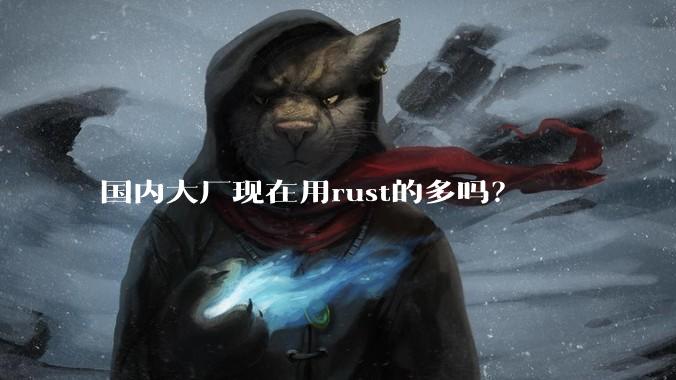 国内大厂现在用rust的多吗？