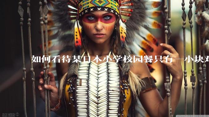 如何看待某日本小学校园餐只有一小块鸡肉？