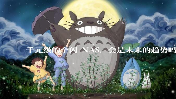 千元级的全闪 NAS，会是未来的趋势吗？