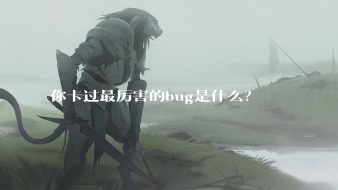 你卡过最厉害的bug是什么？