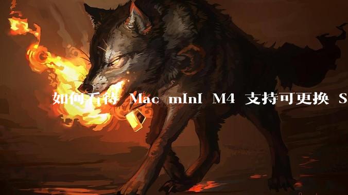 如何看待 Mac mini M4 支持可更换 SSD？