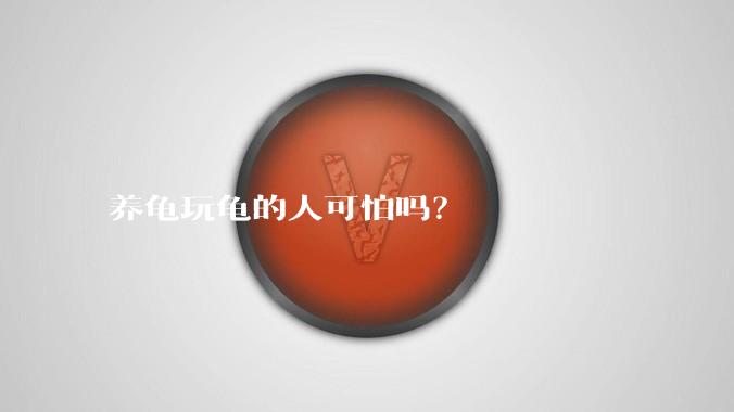 养龟玩龟的人可怕吗？