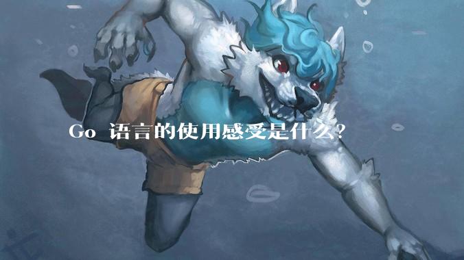 Go 语言的使用感受是什么？