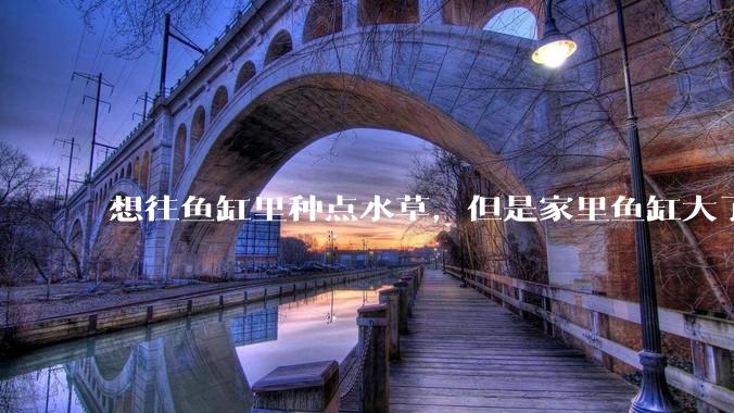 想往鱼缸里种点水草，但是家里鱼缸大了买水草泥或者底砂太贵了，有没有生活中可以替代的物品或其他建议？