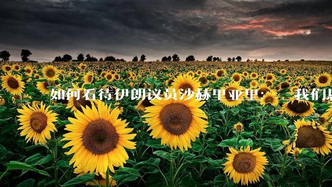 如何看待伊朗议员沙赫里亚里：  我们恳求最高领袖批准使用核武器？