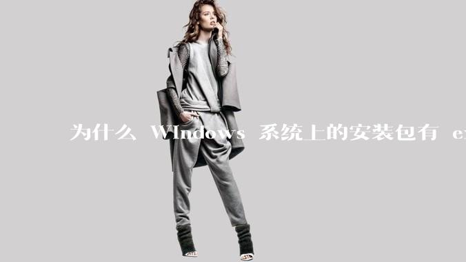 为什么 Windows 系统上的安装包有 exe 和 msi 两种格式，有什么区别？