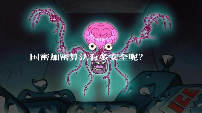 国密加密算法有多安全呢？
