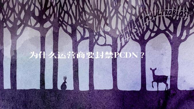 为什么运营商要封禁PCDN?