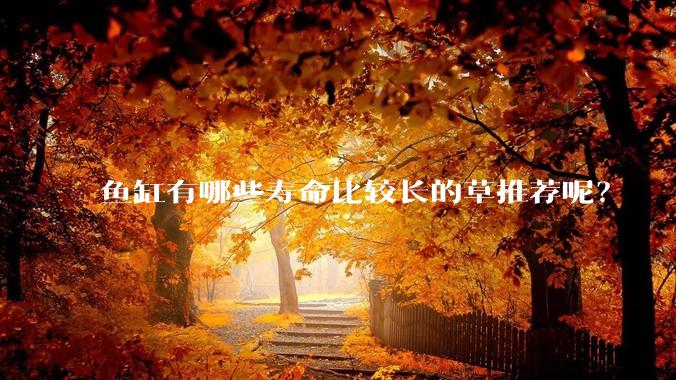 鱼缸有哪些寿命比较长的草推荐呢？