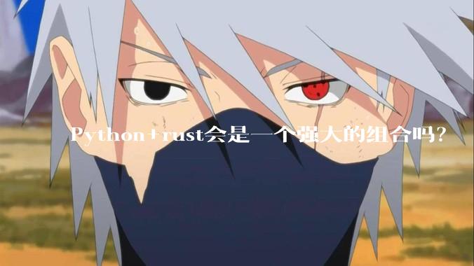 Python+rust会是一个强大的组合吗？