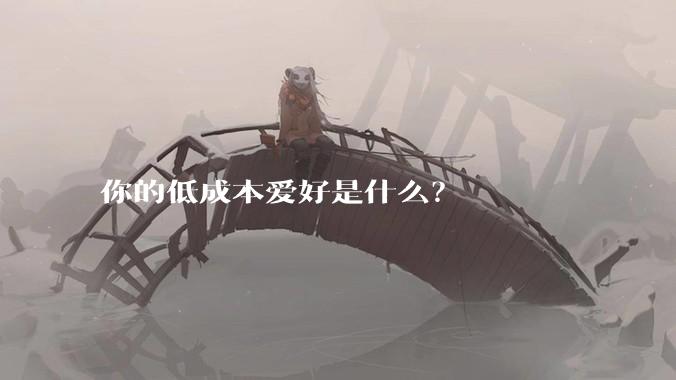 你的低成本爱好是什么？