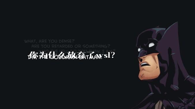 你为什么放弃了wsl？