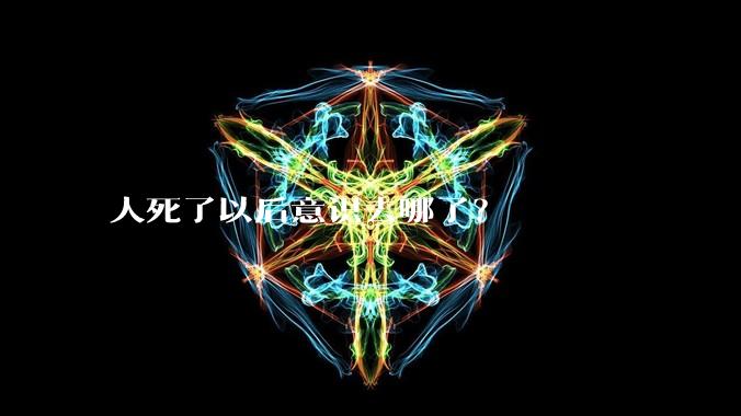 人死了以后意识去哪了？