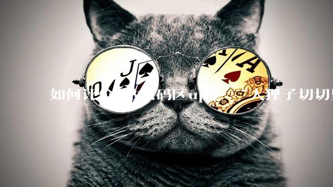 如何评价b站数码区up主 “大狸子切切里”?