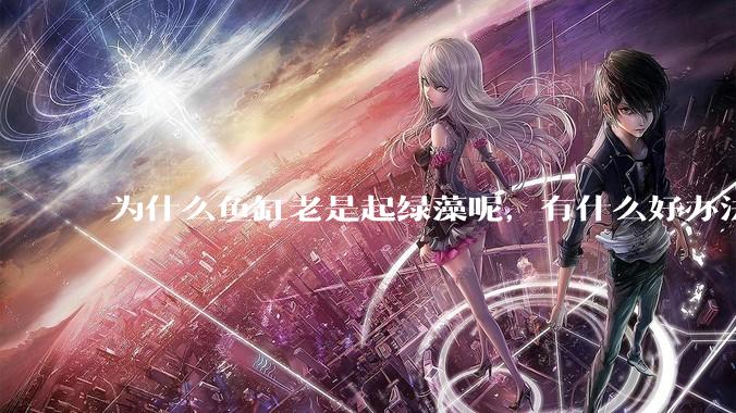 为什么鱼缸老是起绿藻呢，有什么好办法不用整天擦鱼缸？